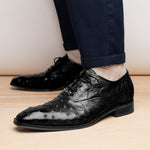 Belvedere Orlando Genuine Ostrich Quill Shoes Black V1 (D01)