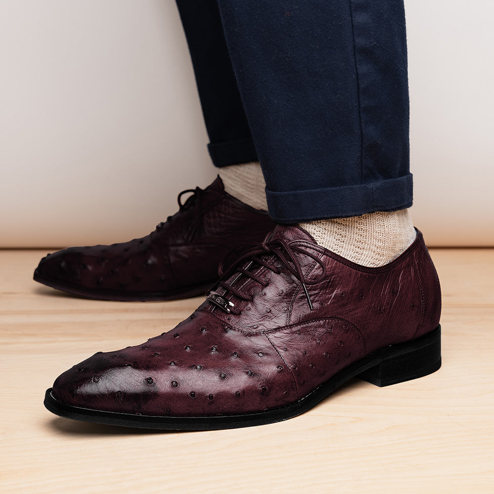 Belvedere Orlando Genuine Ostrich Quill Shoes Antique Dark Burgundy V1 (D01)