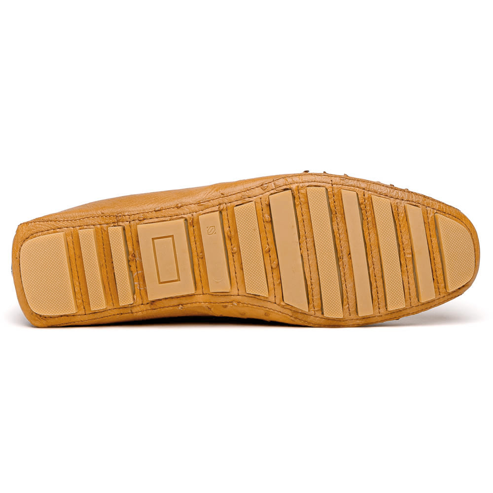 Corrente Palm Beach Ostrich Driver Dark Beige