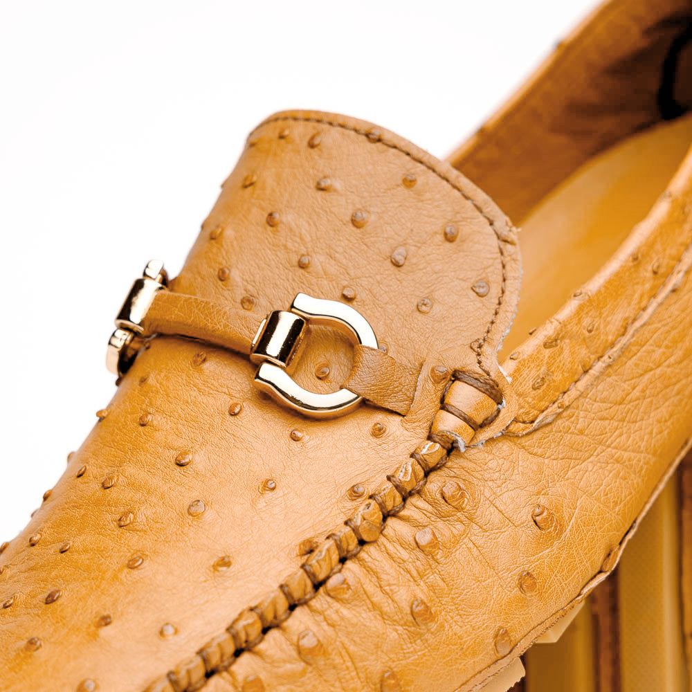 Corrente Palm Beach Ostrich Driver Dark Beige
