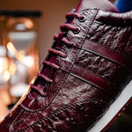 Belvedere Parker Ostrich Leg / Calfskin Sneakers Dark Burgundy