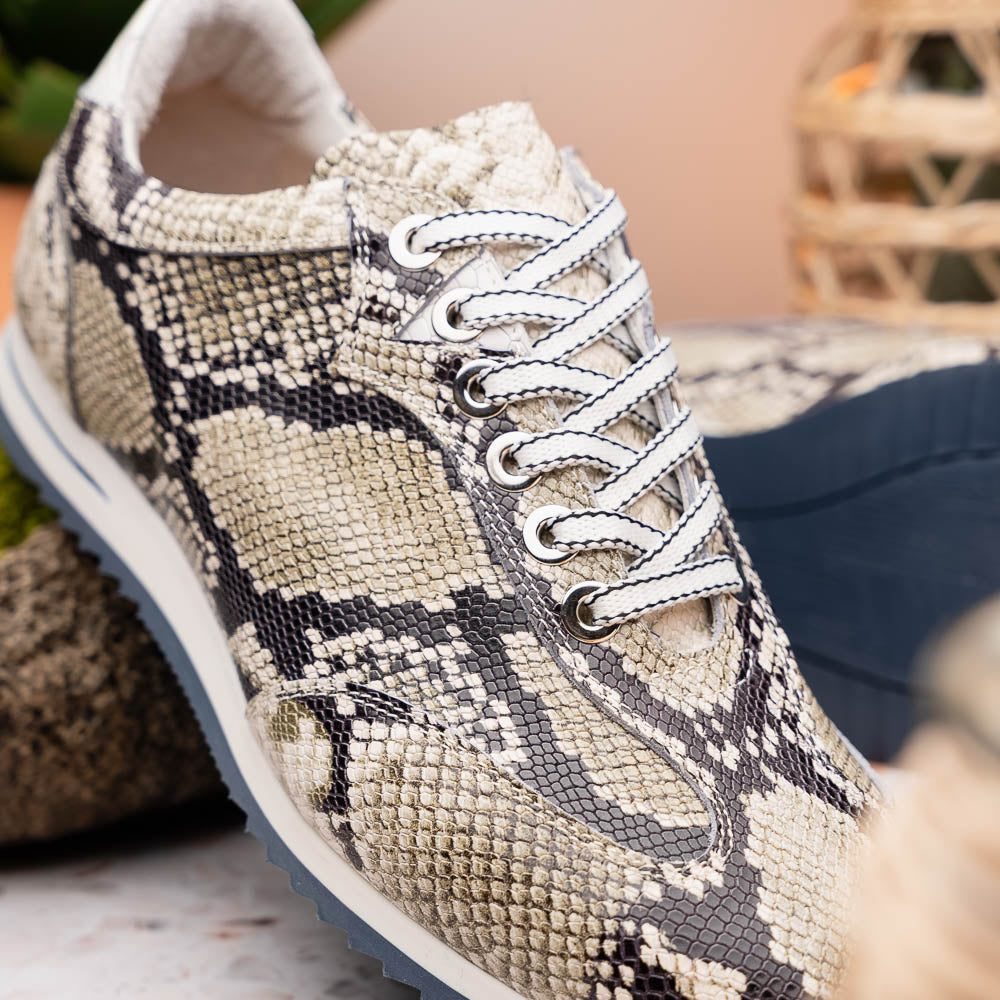 Zelli Peri Python Embossed Italian Calfskin Sneakers Black / White (65-215-WHT)