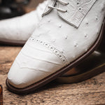 Calzoleria Toscana Ripi Baby Alligator & Ostrich Cap Toe White