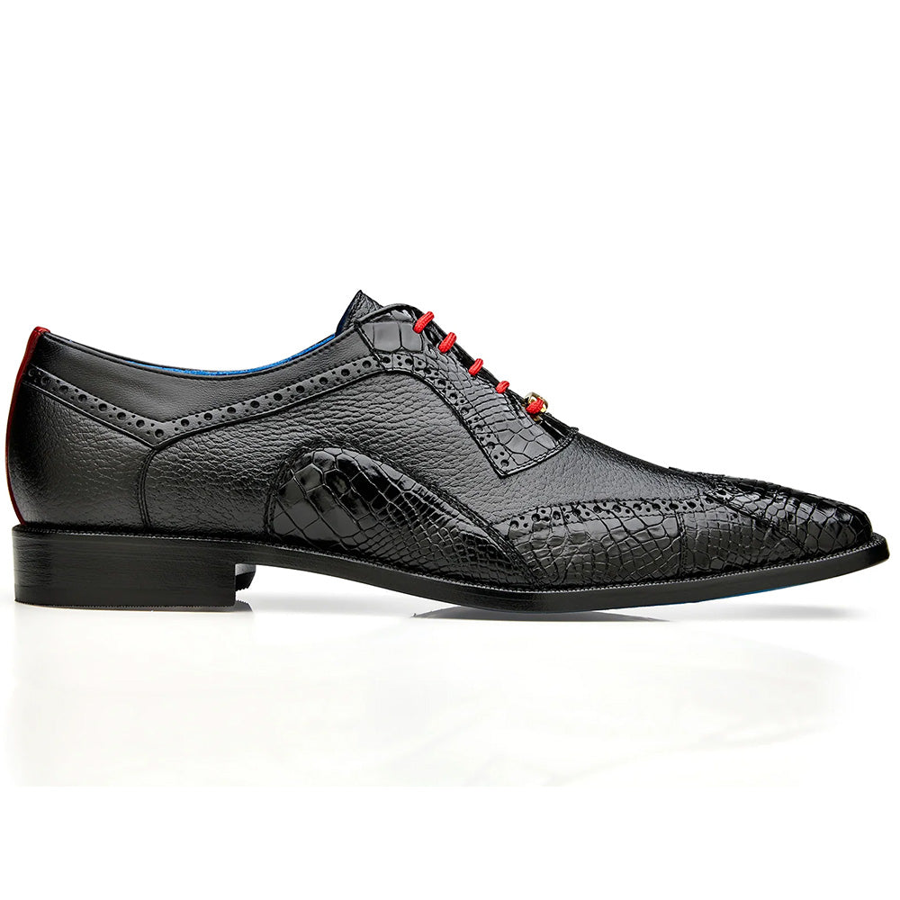 Belvedere Roberto Wingtip Oxords Black