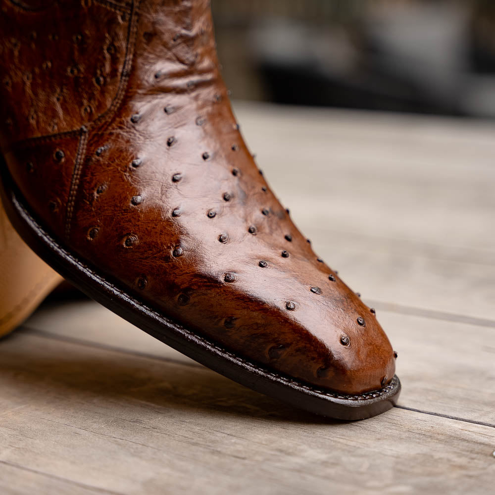 Belvedere Roger Genuine Ostrich Quill Chelsea Boots Ant Brandy (R55)