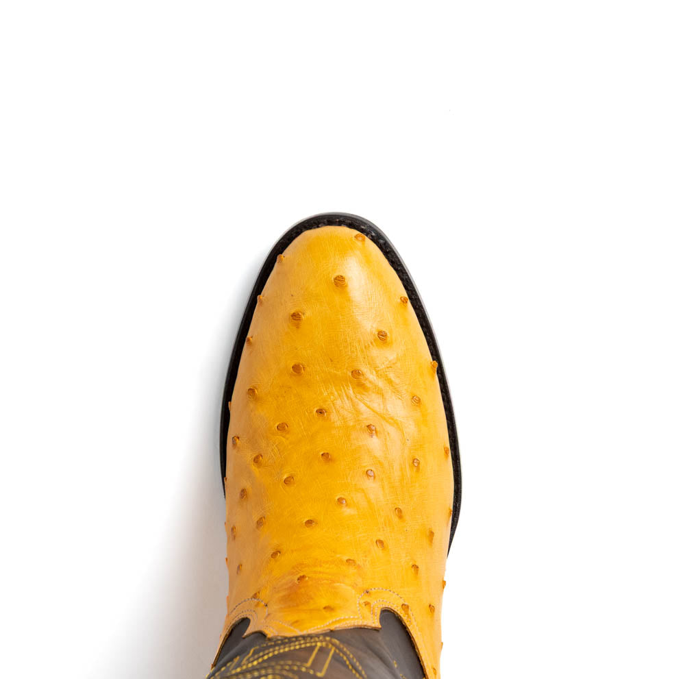 Marco Di Milano Savannah Ostrich Quill Round Toe Cowboy Boot Buttercup