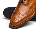 Zelli Stephano Wingtip Oxfords Camel (25-562-CML)