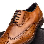 Zelli Stephano Wingtip Oxfords Camel (25-562-CML)