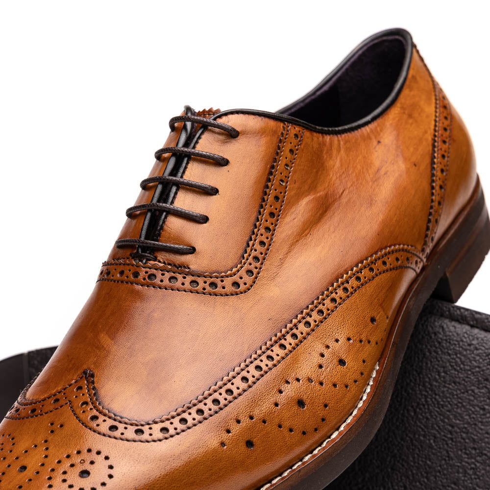 Zelli Stephano Wingtip Oxfords Camel (25-562-CML)
