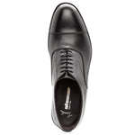 Stemar Lodi Cap Toe Oxfords Black