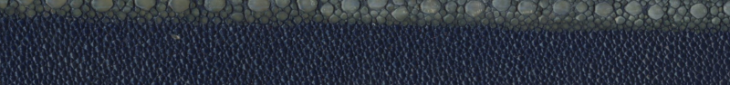 Custom Genuine Stingray Full Spine Belt