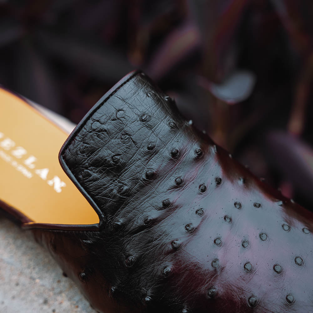 Mezlan Ostrich Mule Dark Burgundy (EXCLUSIVE) (SX4919-S)