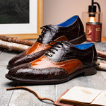Belvedere Varo Genuine Alligator / Eel Wing Wingtip Shoes Chocolate / Ant Tan (R49)