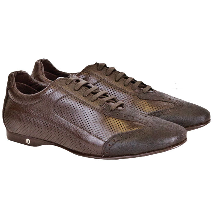 Vestigium Cat Shark Sneakers Brown
