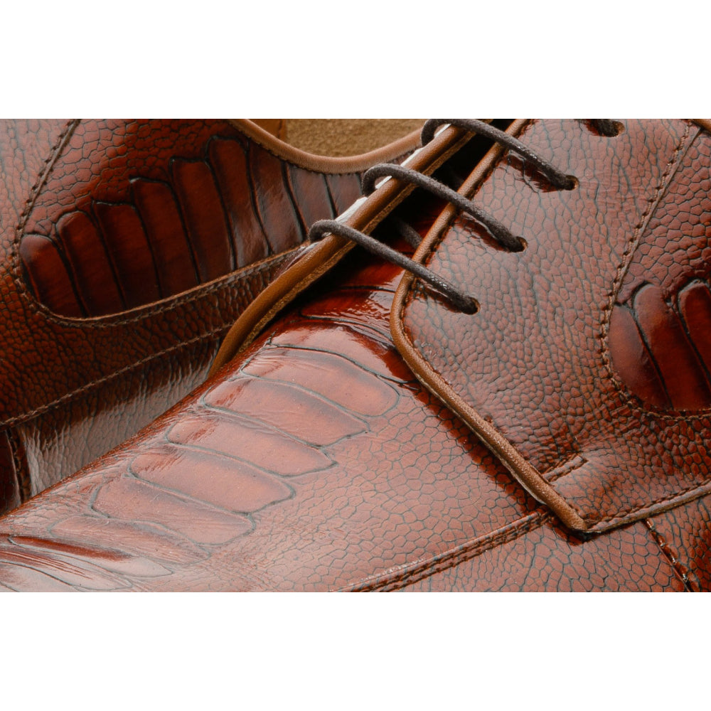 Vinci Leather The Martin Brown Leather Derby Shoe (6055)