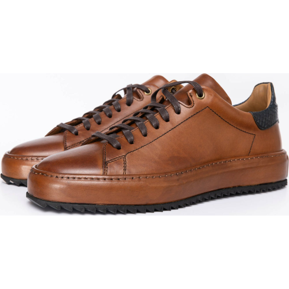 Vinci Leather The Noble Brown Leather Sneaker (D-2189)
