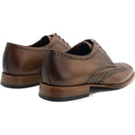 Vinci Leather The Rover Brown Leather Wingtip Semi Brogue Shoe (16016)