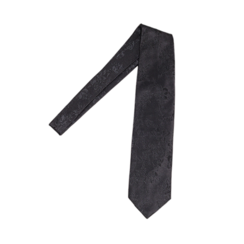 Volare Collection Paisley Tie