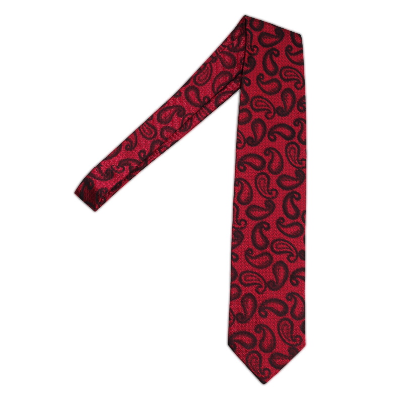 Volare Collection Paisley Tie
