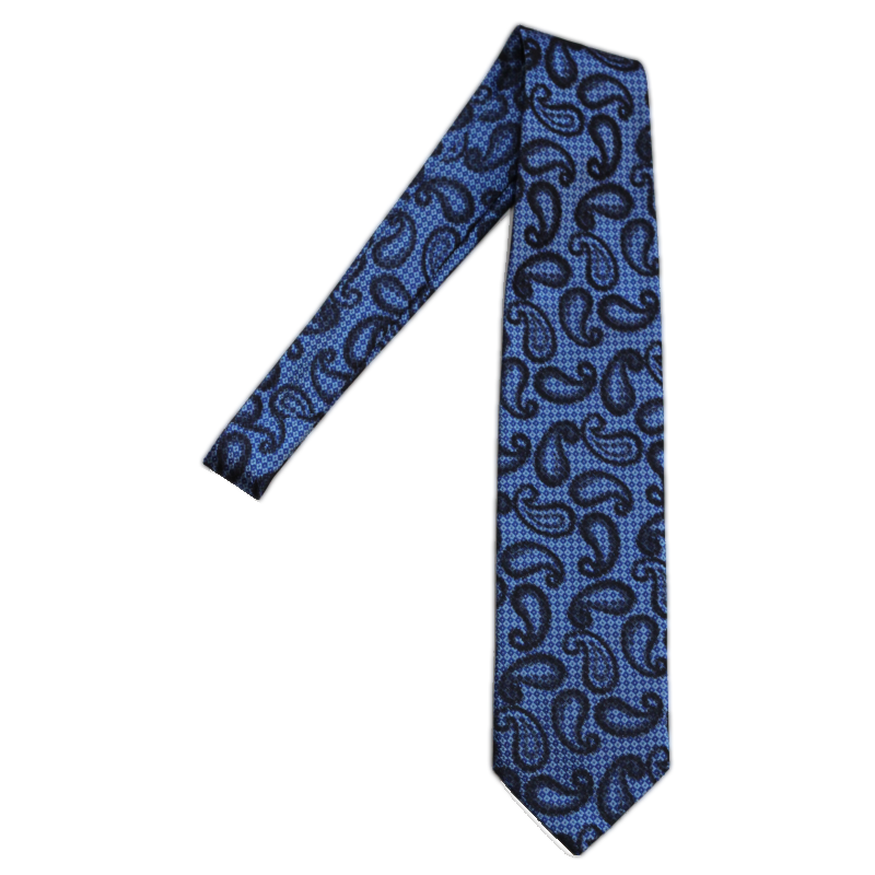 Volare Collection Paisley Tie