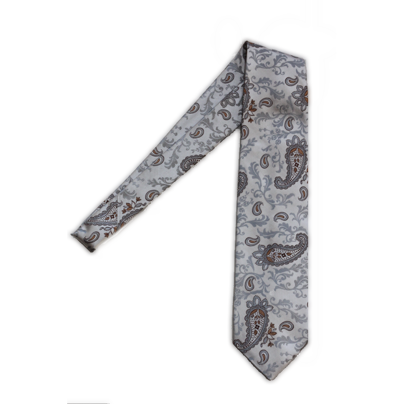 Volare Collection Paisley Tie