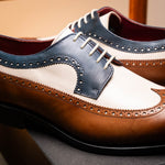 Emanuele Sempre Longwing Blucher Derby Brown / Navy / Beige
