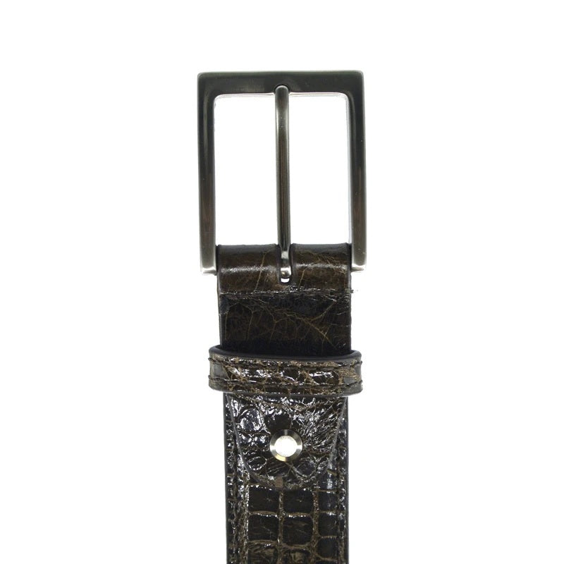 Zelli Alligator Belt Nicotine (70-100-NIC)