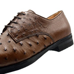 Zelli Andrea Ostrich Cap Toe Shoes Brandy (23-538-BDY)