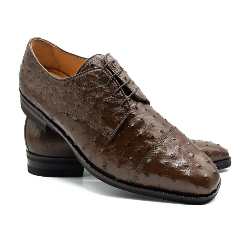 Zelli Andrea Ostrich Cap Toe Shoes Brown (23-538-BRN)