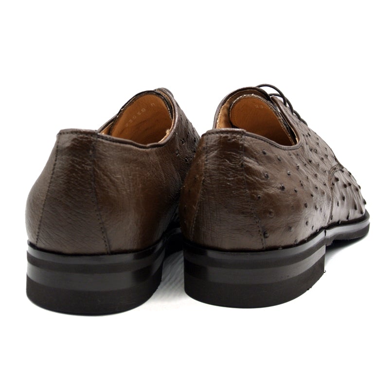 Zelli Andrea Ostrich Cap Toe Shoes Brown (23-538-BRN)