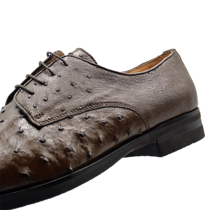 Zelli Andrea Ostrich Cap Toe Shoes Brown (23-538-BRN)