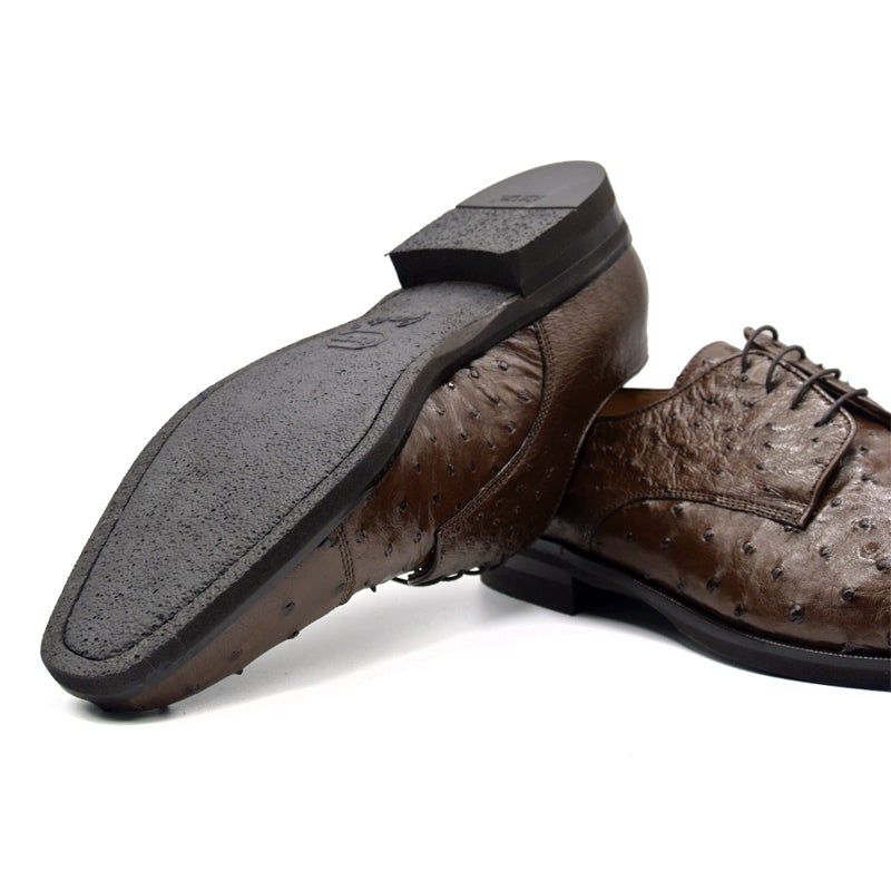 Zelli Andrea Ostrich Cap Toe Shoes Brown (23-538-BRN)