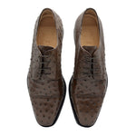 Zelli Andrea Ostrich Cap Toe Shoes Brown (23-538-BRN)