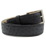 Zelli Ostrich Quill Belt Black