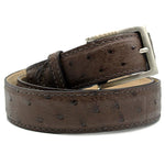 Zelli Ostrich Quill Belt Brown