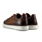 Zelli Russo Calfskin & Crocodile Sneakers Brown (65-201-BRN)