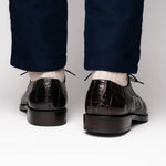 Calzoleria Toscana Zucco Baby Nile Crocodile Derby Espresso Brown