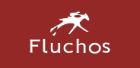 Fluchos Shoes